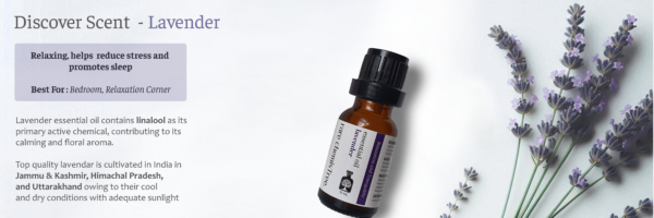 Lavender Essential Oil 30ml - Pure & Natural Aromatherapy - Image 5