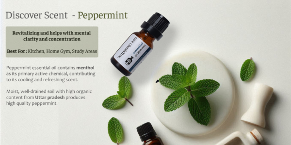 Peppermint Essential Oil–30 ml - Image 5